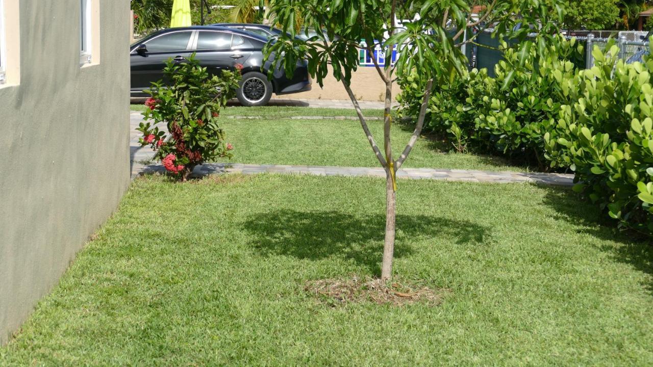 Miami-Airport Oasis Vip House Villa Kültér fotó
